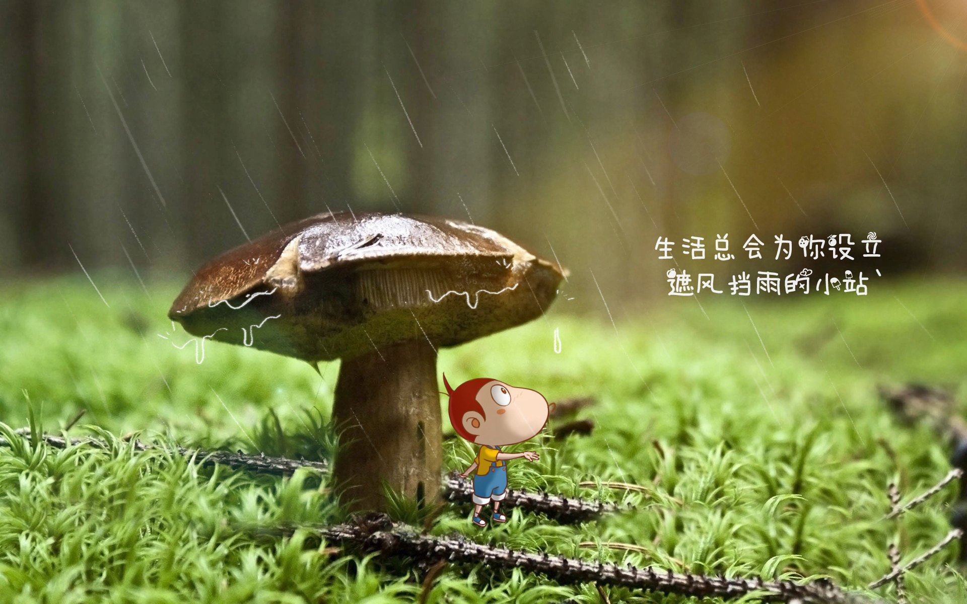 应急照明设备安装标准要求(2026应急照明安装标准)