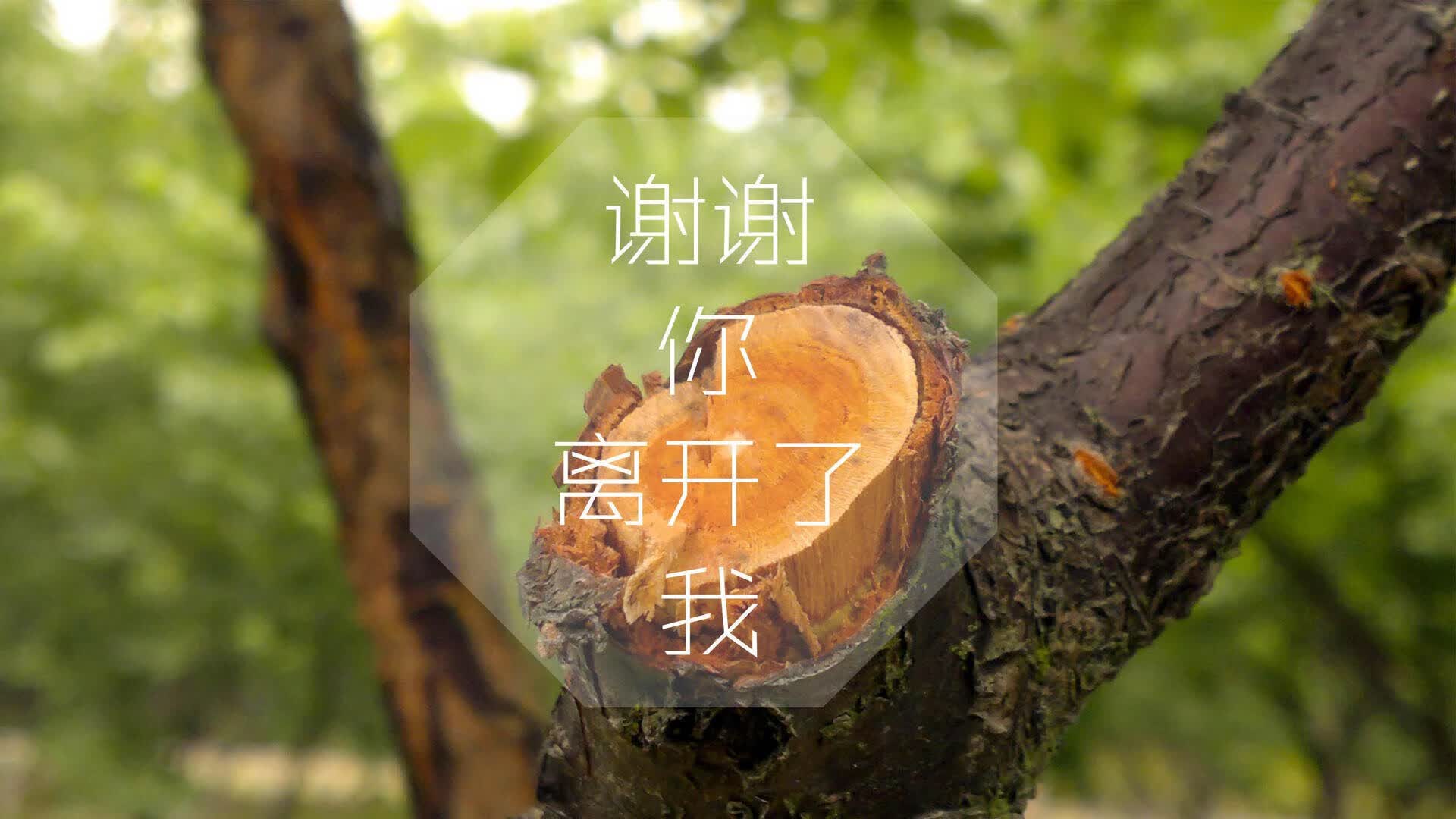 十大商业照明品牌有哪些公司名称（十大商业照明品牌有哪些公司名称图片）