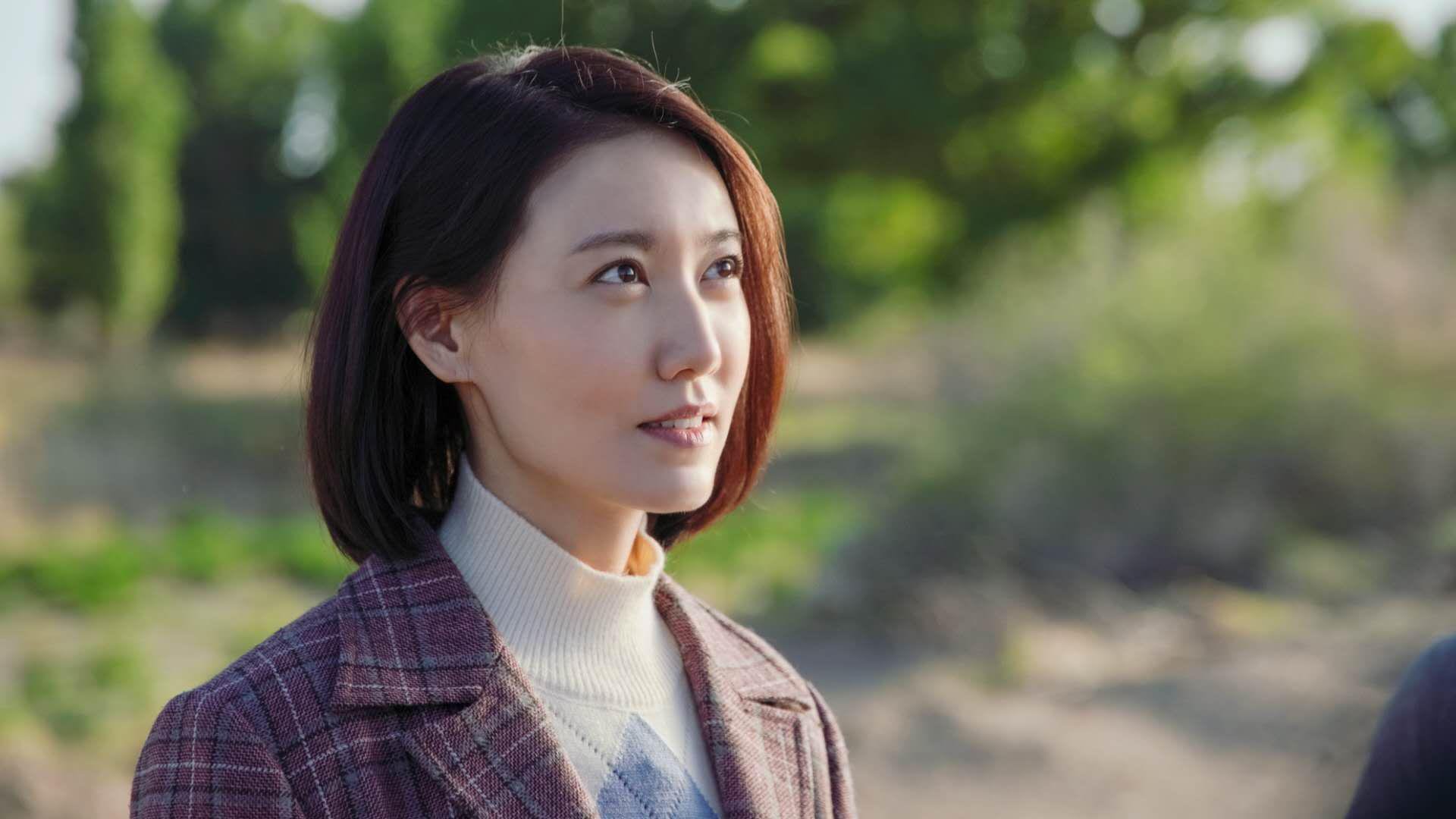 照明设备属于什么类别行业(照明设备包括什么)